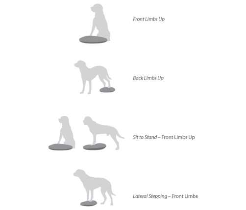 FitPAWS mājdzīvnieku līdzsvara disks, 56 cm, zils