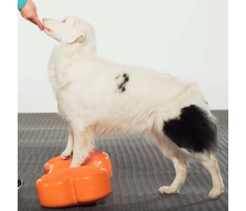 Fitpaws Dzīvnieku Līdzsvara Platforma K9Fitbone, 58X29X10 Cm, Oranža