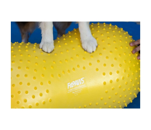 FitPAWS dzīvnieku līdzsvara platforma Trax Peanut, 40 cm, dzeltena