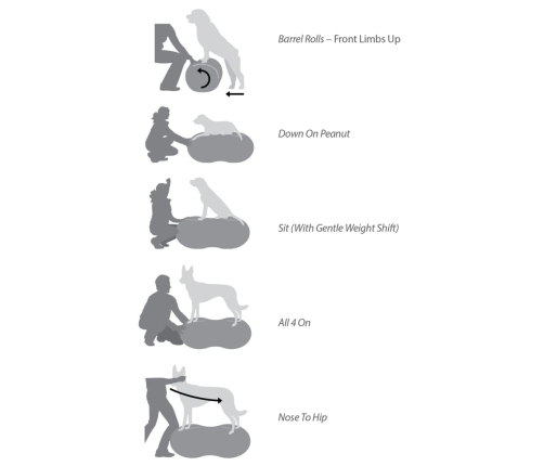 FitPAWS dzīvnieku līdzsvara platforma Trax Peanut, 40 cm, dzeltena