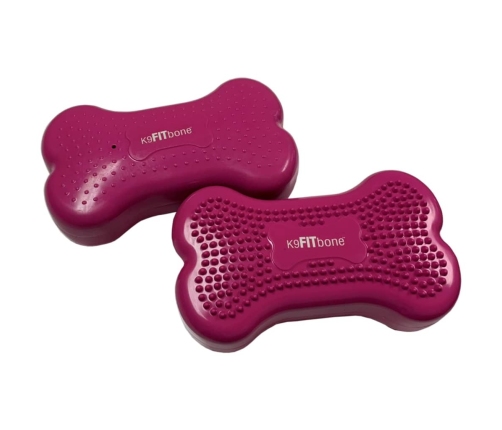 FitPAWS suņu līdzsvara platformas Mini K9FITbone, 2 gab., 29x16,5x6 cm