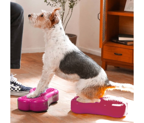 FitPAWS suņu līdzsvara platformas Mini K9FITbone, 2 gab., 29x16,5x6 cm