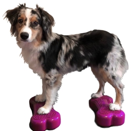Fitpaws Suņu Līdzsvara Platformas Mini K9Fitbone, 2 Gab., 29X16,5X6 Cm Fitpaws Suņu Līdzsvara Platformas Mini K9Fitbone, 2 Gab., 29X16,5X6 Cm