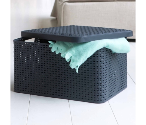 Curver uzglabāšanas kastes ar vāku Style, 3 gab., M izmērs, pelēkas