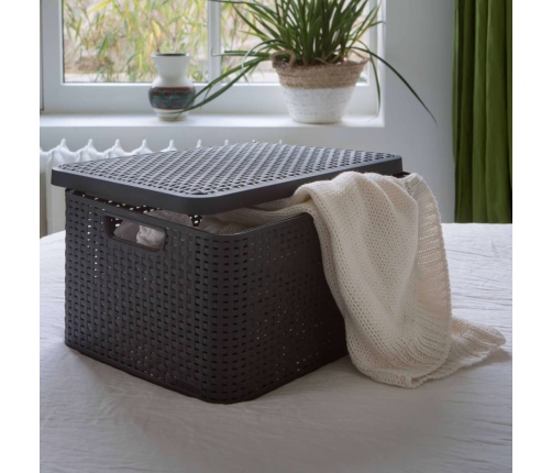 Curver uzglabāšanas kastes ar vāku Style, 3 gab., L izmērs, pelēkas