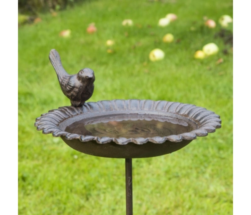 Hi Putnu Vanna, Brūna, Čuguns