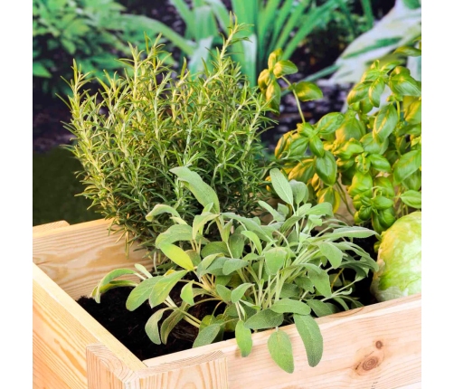 HI augstā puķu kaste, 92x41x80 cm, priedes koks