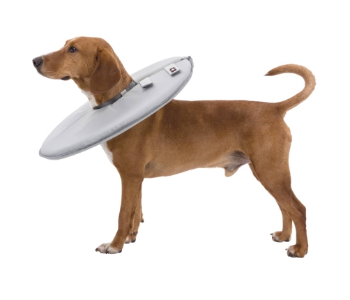 Trixie Mājdzīvnieku Aizsargapkakle, L-Xl, 27 Cm