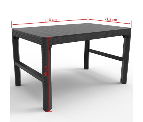 Keter dārza galdiņš Lyon, grafīta krāsā, 232300