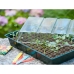 409320 Nature Propagator Mini Kit 7x11 Cells