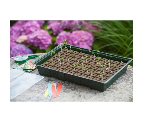 409320 Nature Propagator Mini Kit 7x11 Cells