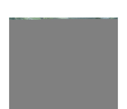 Nature kukaiņu tīkls pret ābolu tinēju, 6030450