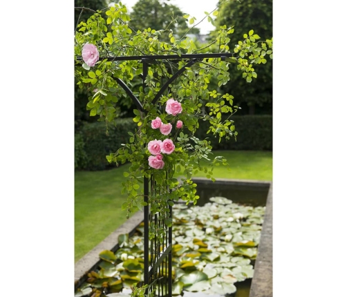 Nature Dārza Arka, Melna, 114X66X232 Cm, Metāls