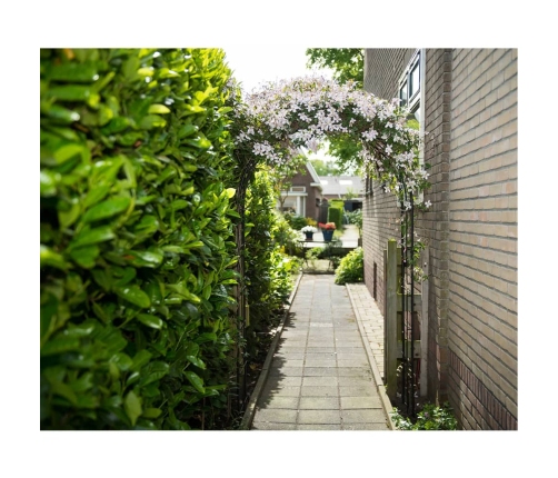 Nature Dārza Arka, Melna, 229X38X113 Cm, Metāls