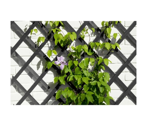 Nature Dārza Špalera, Pelēka, 50X150 Cm, Koks