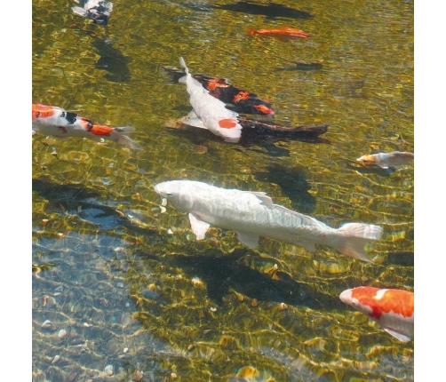 Ubbink AlgClear UVC 35000, 36 W