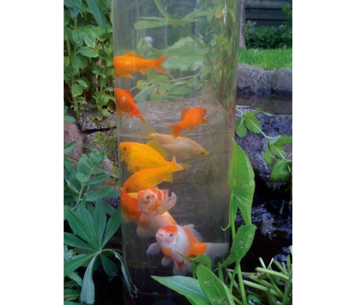 Ubbink Zivju tornis, 50 cm, akrils, 1372160