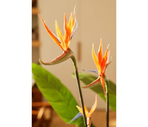 vidaXL mākslīgais augs, strelīcija podā ar ziediem, 120 cm