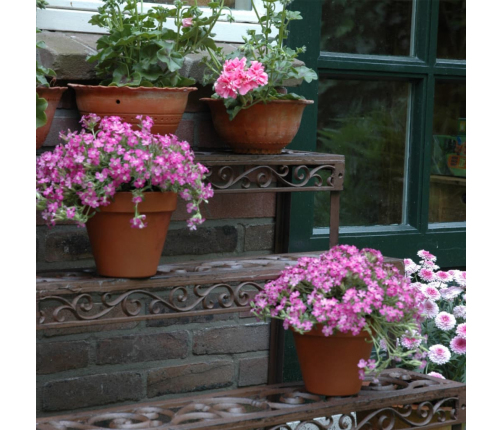 Esschert Design plaukts, taisnstūra forma, BPH33