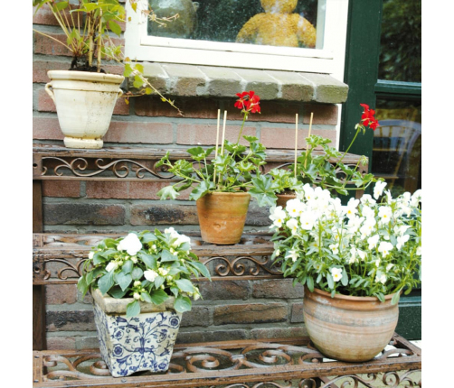 Esschert Design plaukts, taisnstūra forma, BPH33