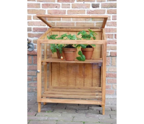 Esschert Design siltumnīca, mazs izmērs, cietkoksne, GT32