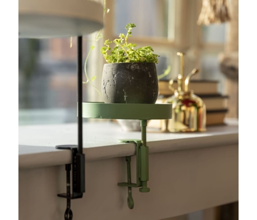 Esschert Design augu paplāte ar skavu, apaļa, zaļa, S