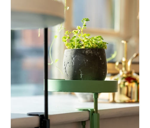 Esschert Design augu paplāte ar skavu, apaļa, zaļa, S