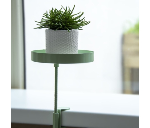 Esschert Design augu paplāte ar skavu, apaļa, zaļa, S