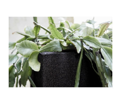 Capi puķu kaste Urban Smooth, kvadrāta forma, 40x40x40 cm, melna