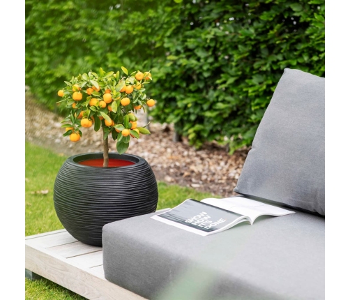 Capi vāze Nature Rib, apaļa forma, 40x32 cm, melna, KBLR270
