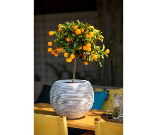 Capi vāze Nature Rib, apaļa forma, 40x32 cm, ziloņkaula, KOFI270