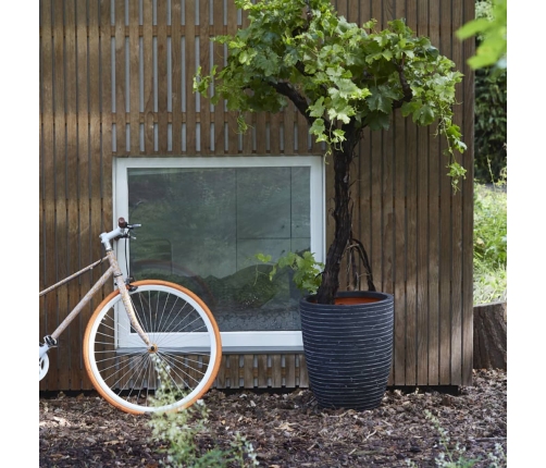 Capi vāze Nature Row, zema, 46x58 cm, pelēka, KRWZ783