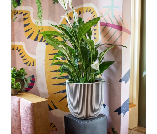 Capi puķu pods Groove, 43x41 cm, ziloņkaula