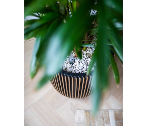 Capi vāze Groove, 35x34 cm, melna un zelta krāsa