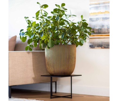 Capi vāze Groove, 35x34 cm, melna un zelta krāsa