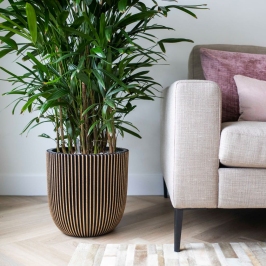 Capi Vāze Groove, 35X34 Cm, Melna Un Zelta Krāsa Capi Vāze Groove, 35X34 Cm, Melna Un Zelta Krāsa