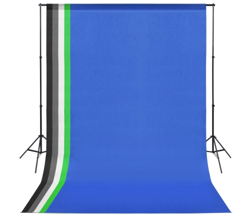 vidaXL fotostudijas komplekts: 5 foni un 2 mīkstās gaismas kastes