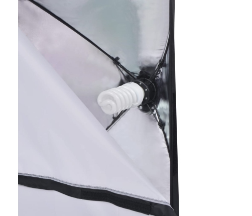 vidaXL fotostudijas komplekts: 5 foni un 2 mīkstās gaismas kastes