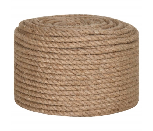 vidaXL virve, 10 mm, 100 m, 100% džuta