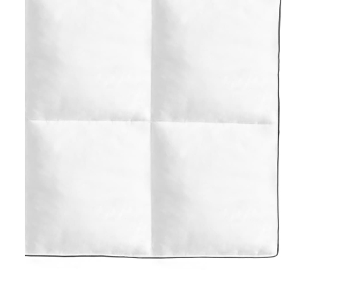 vidaXL ziemas dūnu sega, 150x200 cm