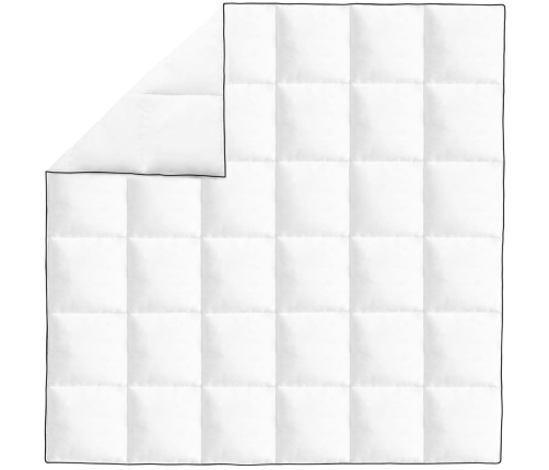 vidaXL ziemas dūnu sega, 200x200 cm