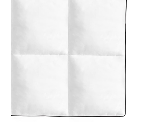 vidaXL ziemas dūnu sega, 200x200 cm