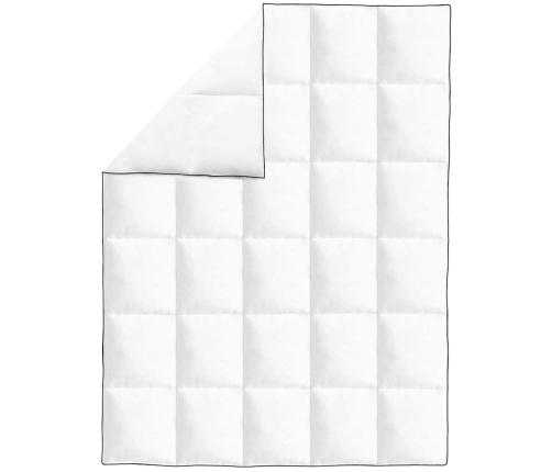 vidaXL ziemas dūnu segas, 2 gab., 140x200 cm