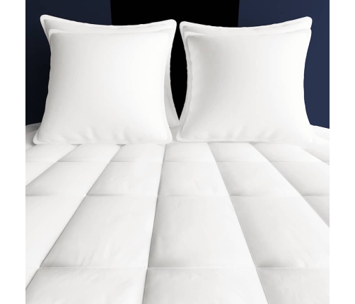 vidaXL ziemas dūnu segas, 2 gab., 150x200 cm