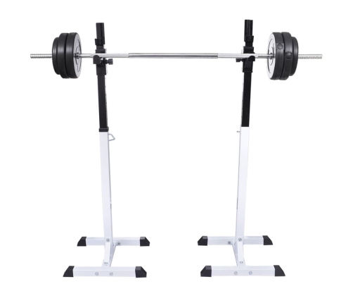 vidaXL svaru stieņa statīvs ar stieni un hantelēm, 60,5 kg