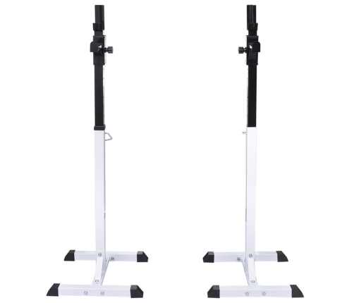 vidaXL svaru stieņa statīvs ar stieni un hantelēm, 60,5 kg