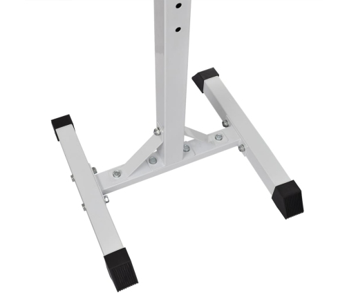 vidaXL svaru stieņa statīvs ar stieni un hantelēm, 60,5 kg