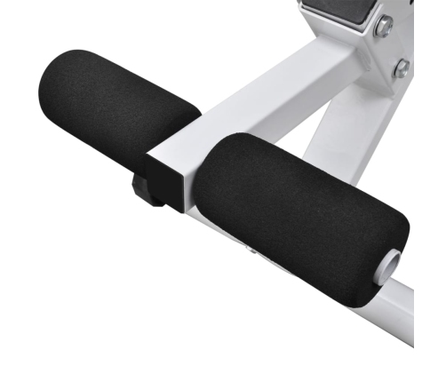 vidaXL treniņu sols ar hantelēm un stieni, 30,5 kg