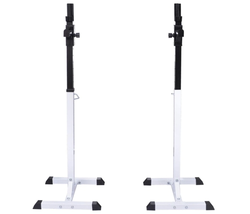 vidaXL svaru stieņa statīvs ar stieni un hantelēm, 30,5 kg