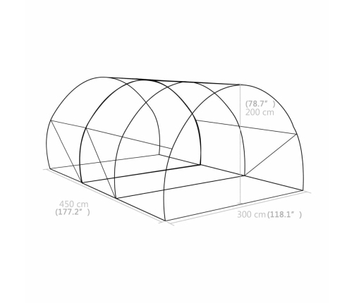 vidaXL siltumnīca, 13,5 m², 450x300x200 cm